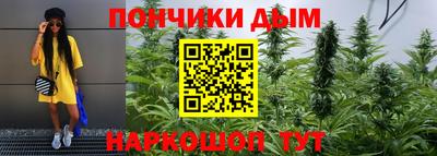 спиды Обь