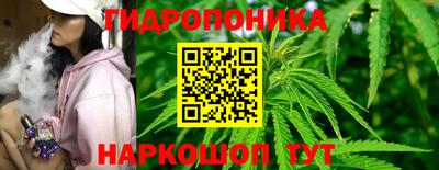 ECSTASY Новозыбков