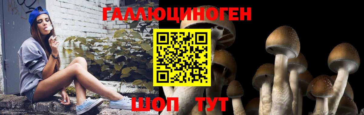 Псилоцибиновые грибы мухоморы  Вход с VPN  Пушкино 